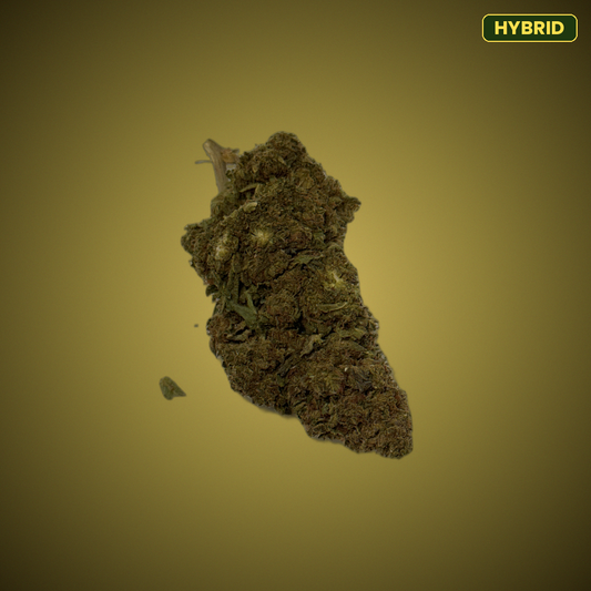 Apple Fritter