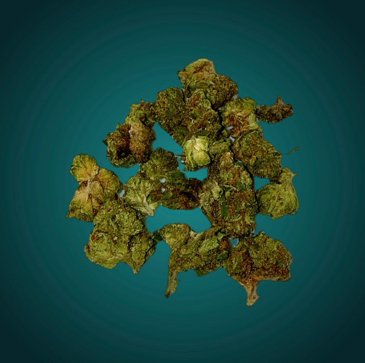 Bubble Yum- Hybrid