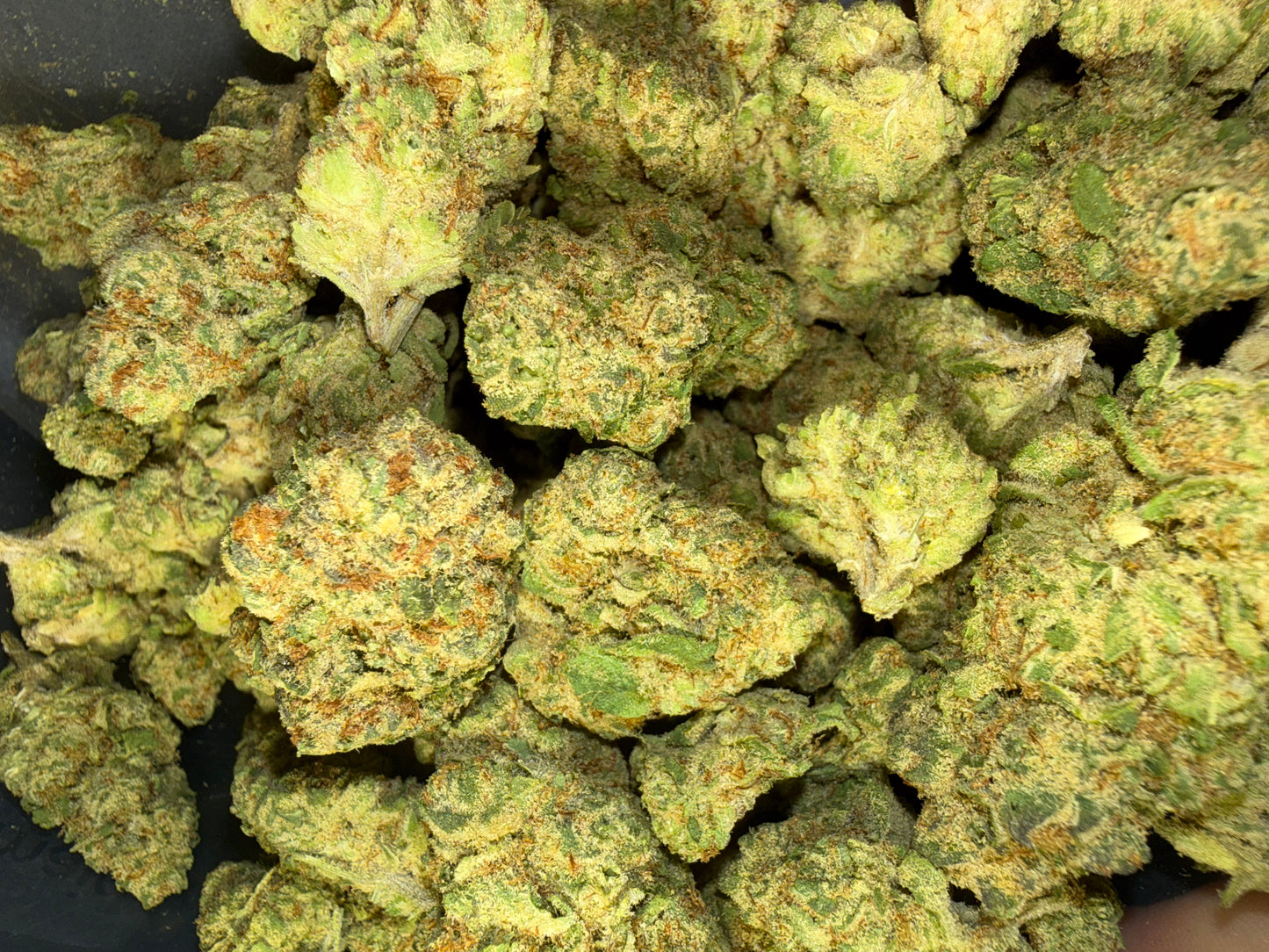 Bananaconda THCa flower by Stoney Baloney Hemp Co., hybrid hemp with sweet banana and tropical flavor notes