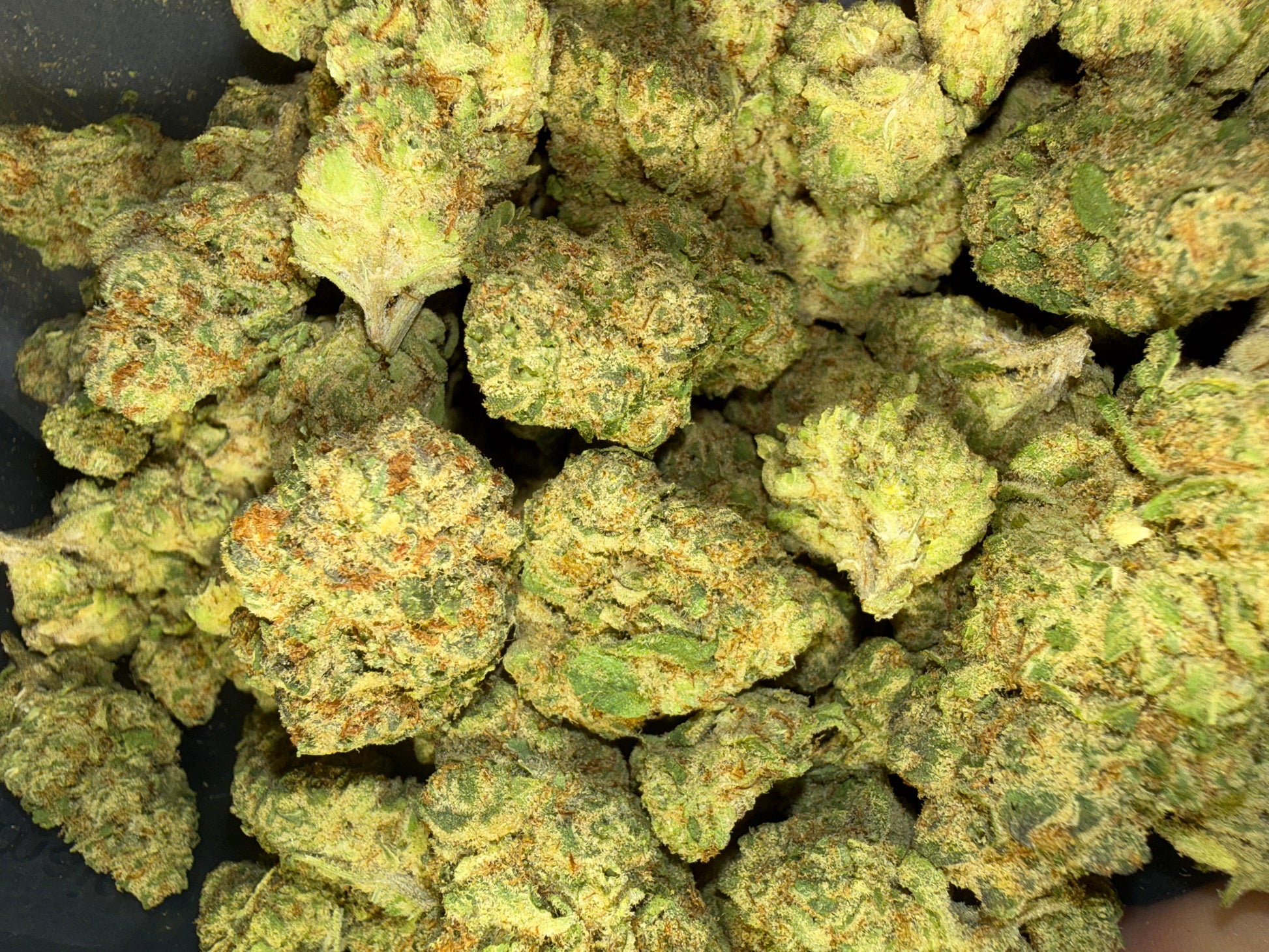 Bananaconda THCa flower by Stoney Baloney Hemp Co., hybrid hemp with sweet banana and tropical flavor notes