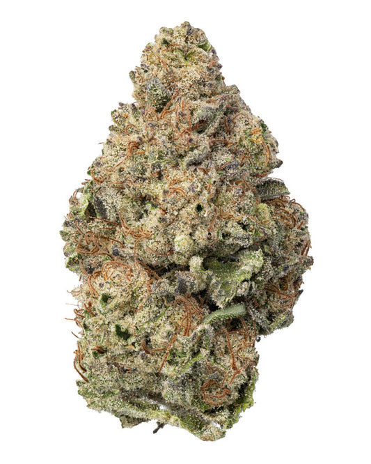 Magic Night - THCa 29.481% : Terpenes 5.020% - Indica