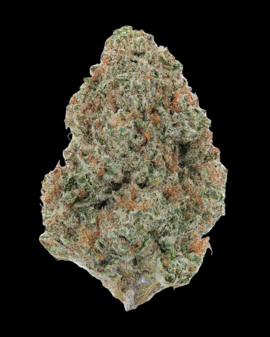 Orange Creamsicle Living Soil - THCa 31.151% : Terpenes 4.916% - Sativa