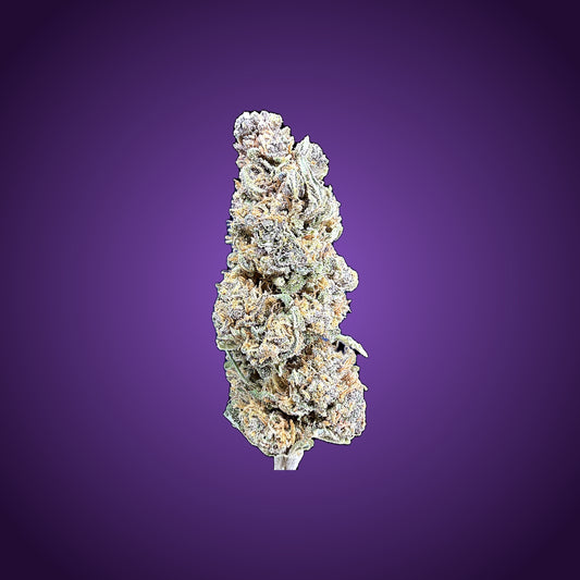 Purple Hindu Kush