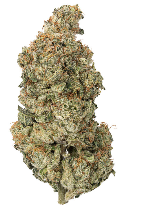 Maui Wowi Hydro THCa Flower