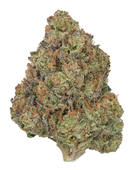 Slurty - THCa 29.317% : Terpenes 4.056% - Indica