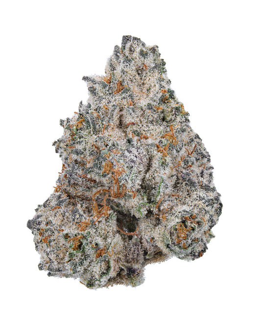 White Truffles Hydro - THCa 33.505% : Terpenes 2.712% - Indica