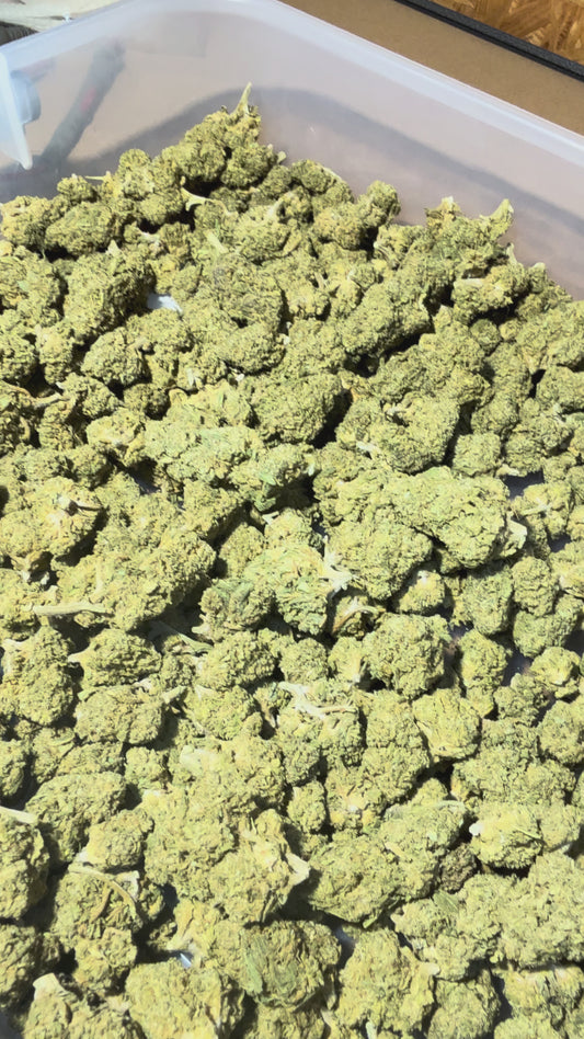 Orange Kush