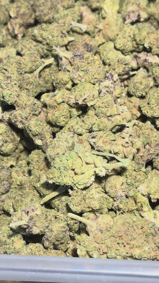 Boysenberry
